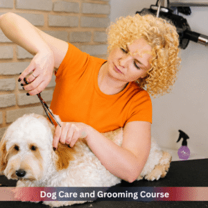 Professional dog groomer trimming a dog's coat during a Dog Care and Grooming Course, demonstrating safe grooming techniques, coat maintenance, and canine care skills.