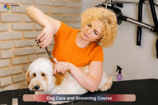 Professional dog groomer trimming a dog's coat during a Dog Care and Grooming Course, demonstrating safe grooming techniques, coat maintenance, and canine care skills.