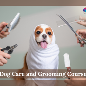 Dog Care and Grooming Course