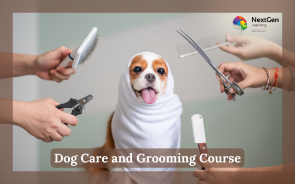 Dog Care and Grooming Course