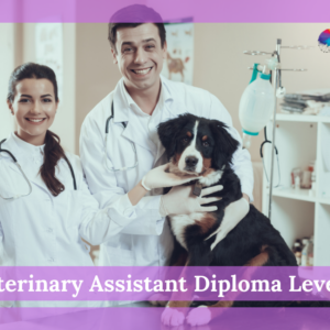 Veterinary Assistant Diploma Level 3