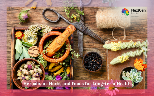 Herbalism : Herbs and Foods for Long-term Health