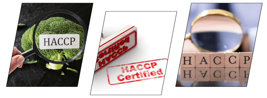 HACCP Training Level 5 – Accredited HACCP Course for Food Safety and Compliance