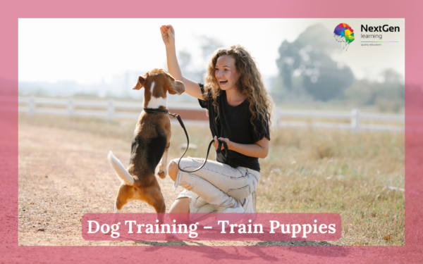 Dog Training - Train Puppies