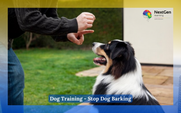 Dog Training – Stop Dog Barking