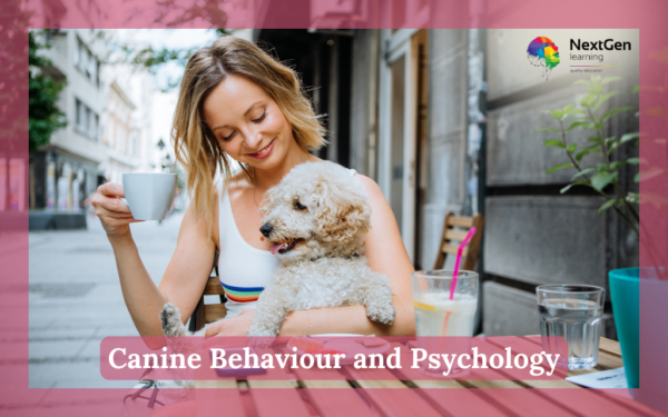 Canine Behaviour and Psychology