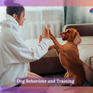 Dog Behaviour and Training
