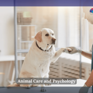 Veterinary Technician Care of a dog