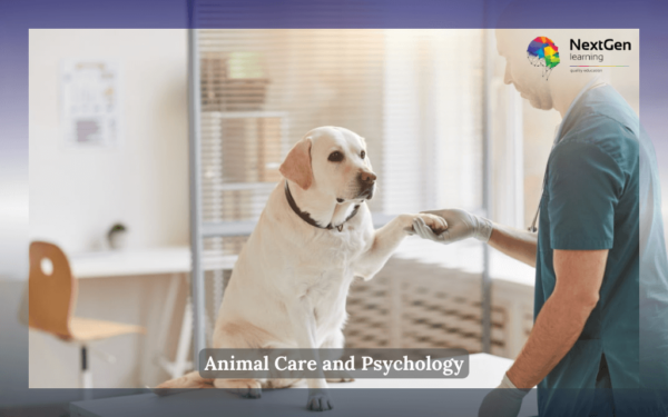 Veterinary Technician Care of a dog