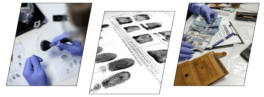 Criminology and Criminal psychology CPD-accredited diploma course online.