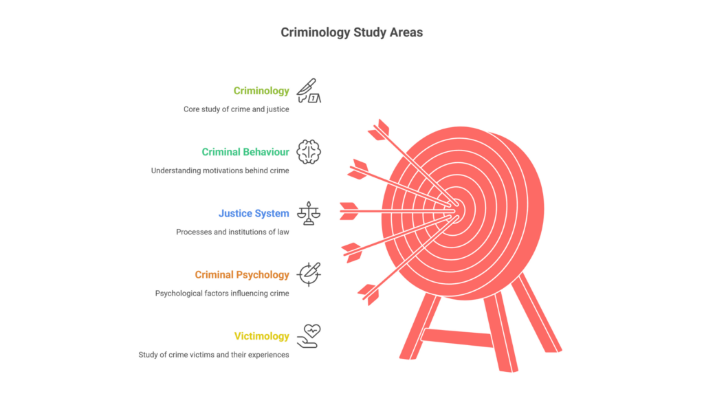 Infographic of Criminology Diploma study areas showing criminology, criminal behaviour, justice system, criminal psychology, and victimology.