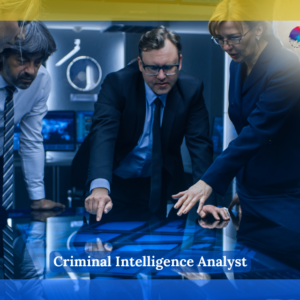 Criminal Intelligence Analyst