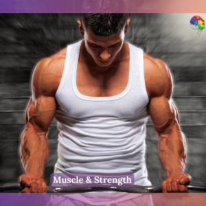 Muscle & Strength - handsome bodybuilder exercise with weights .