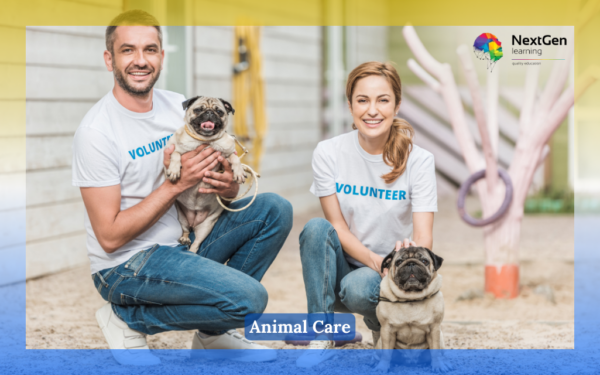 Animal Care