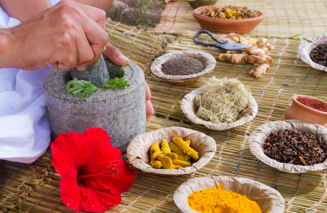 Ayurveda Diploma Next Generation Learning