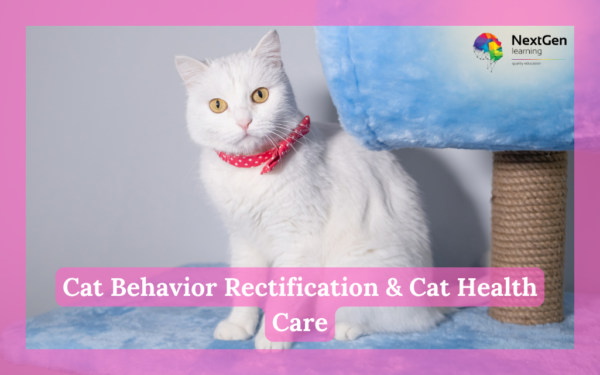 Cat Behavior Rectification & Cat Health Care