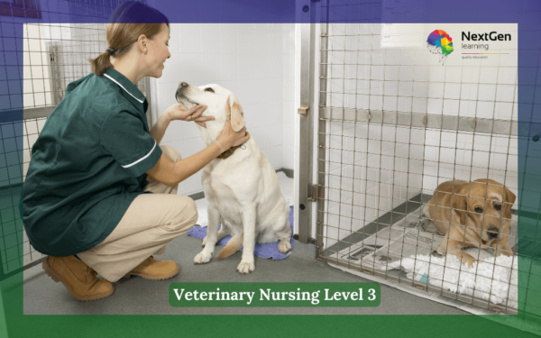 Veterinary Nurse Checking Sick Animals in Pens