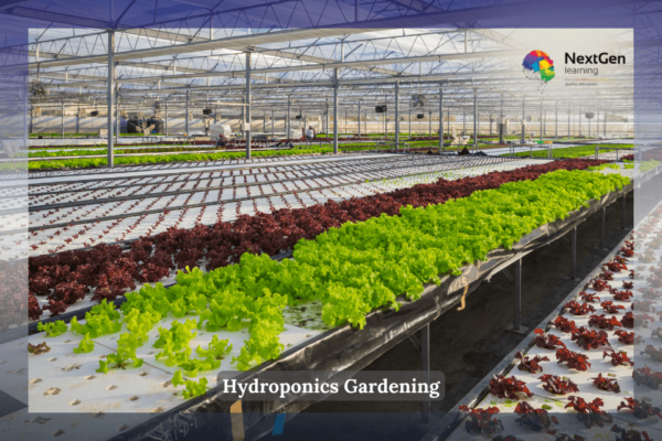 Hydroponics Gardening, organic hydroponic vegetable garden, sustainable farming