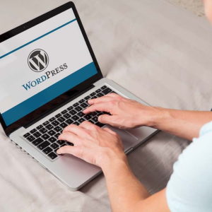 Wordpress for Beginner