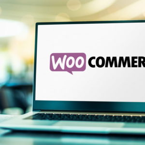 Make a Wordpress WooCommerce Amazon Affiliate Store