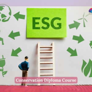 Conservation Diploma Course