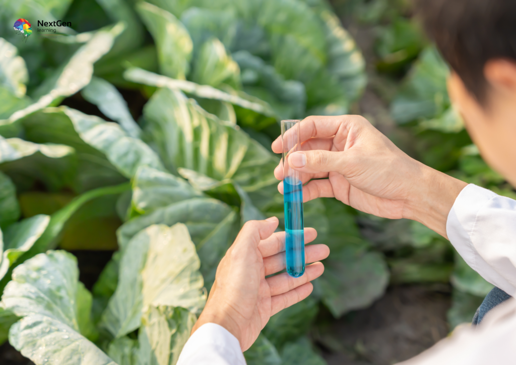 Plant Science Experiment