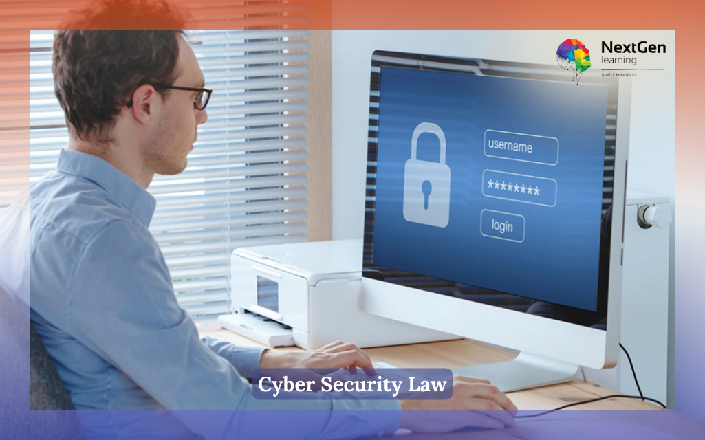 Cyber Security Law