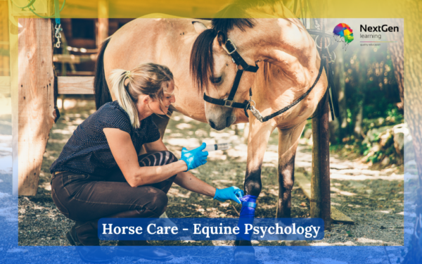 Horse Care - Equine Psychology