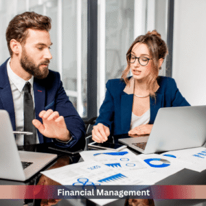 Financial management professionals analysing financial reports, budgeting data, and business performance metrics in a modern office environment.