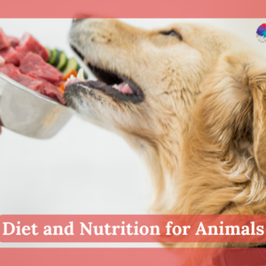 Diet and Nutrition for Animals