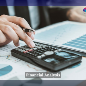 Financial Analysis