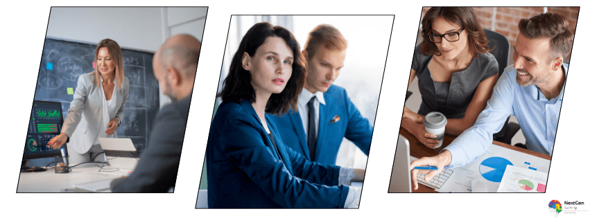 Finance professionals analysing data, reports, and business performance