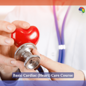 Doctor using a stethoscope on a red heart model symbolising cardiac care – Basic Cardiac (Heart) Care Course