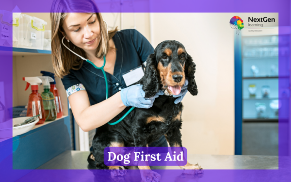 Dog First Aid