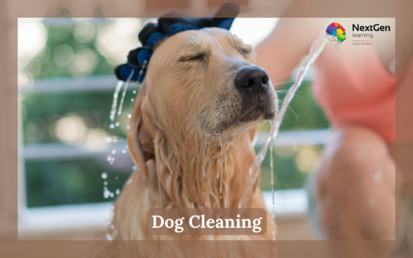 Dog Cleaning