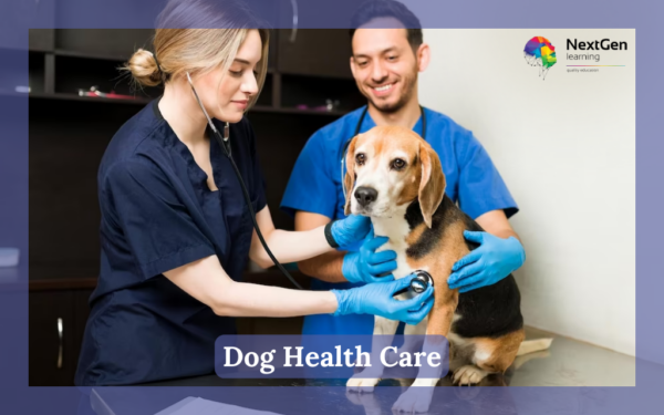 Dog Health Care