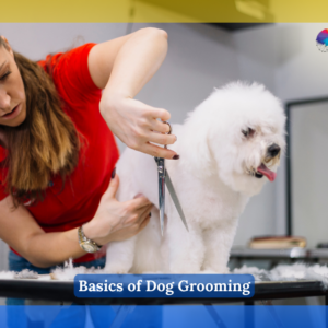 Basics of Dog Grooming