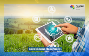 Environment Management