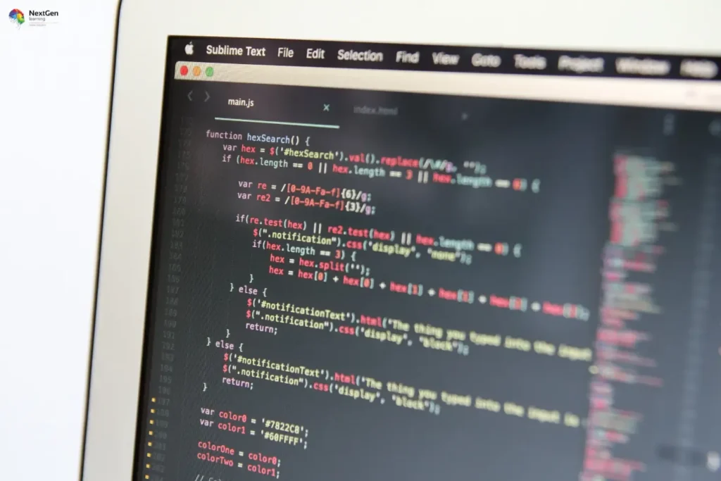 Infographic highlighting beginner coding training, covering HTML structure, CSS styling, JavaScript basics, interactive web design, and foundational skills for building modern websites.