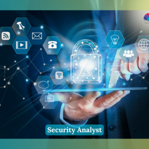 Security Analyst