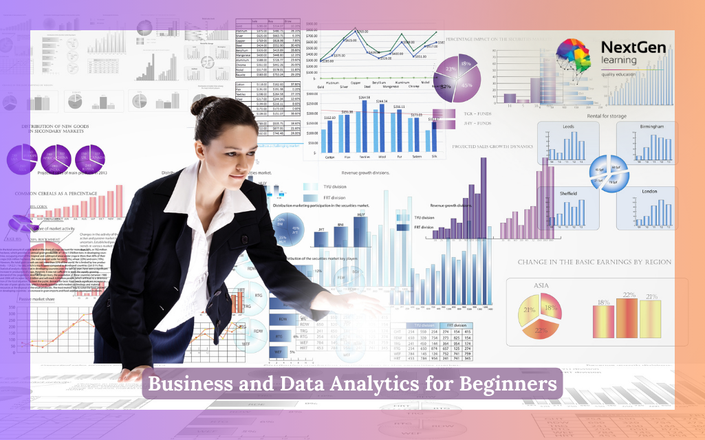 Business and Data Analytics for Beginners