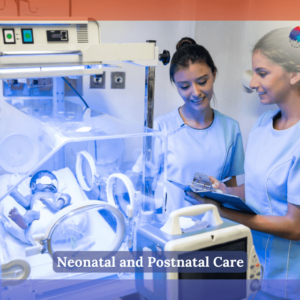 Female nurses at the neonatal intensive care unit checking on a newborn baby being treated for jaundice in incubator- Neonatal Care