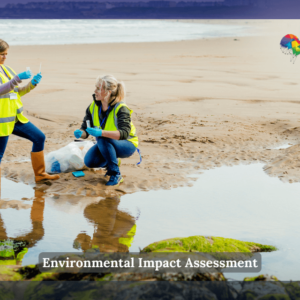 Environmental Impact Assessment