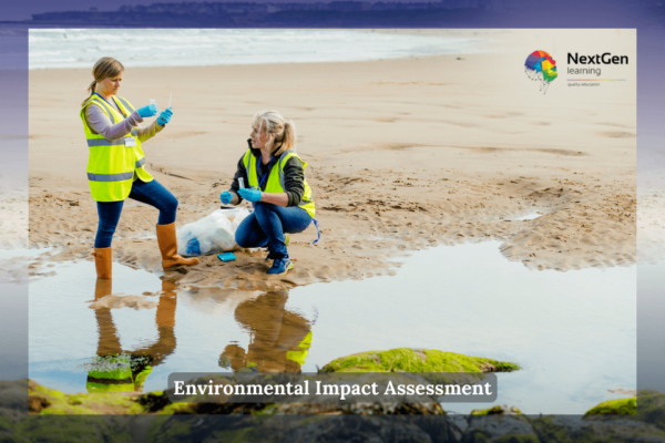 Environmental Impact Assessment