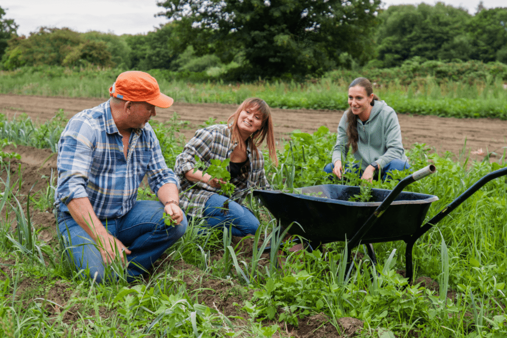 Group of people working together in a garden field with plants, wheelbarrow, and sustainable farming practices