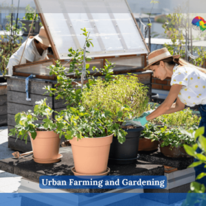 Urban Farming & Gardening On The Rooftop