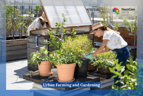 Urban Farming & Gardening On The Rooftop