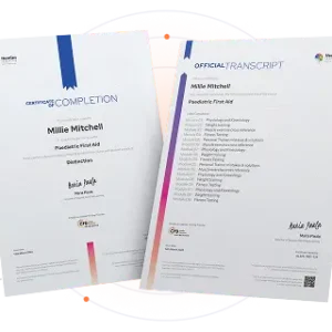 PDF Certificate (50% Discount)