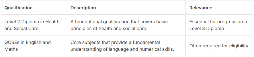 Table showing qualifications, descriptions, and relevance for Level 2 Diploma in Health and Social Care and GCSEs in English and Maths.