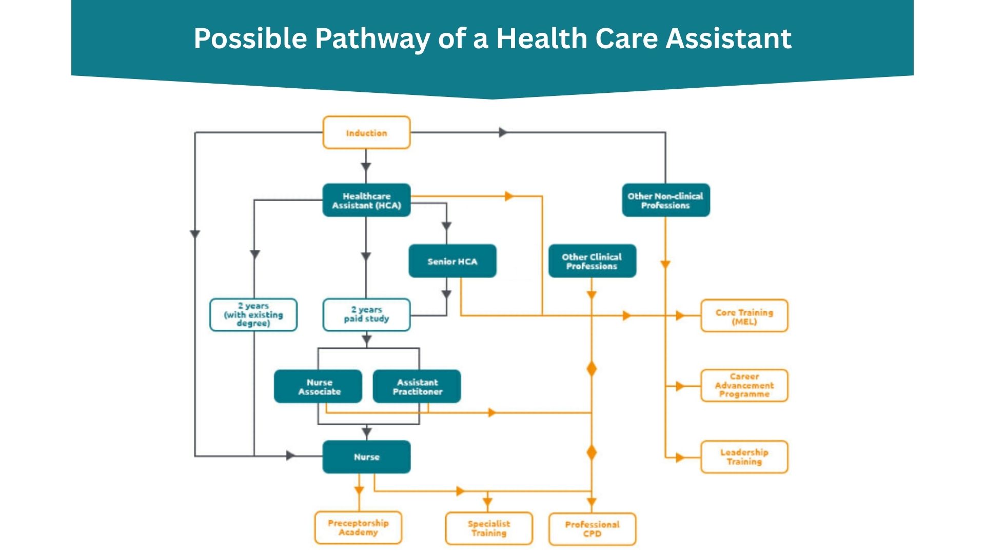A career pathway infographic for a healthcare assistant.